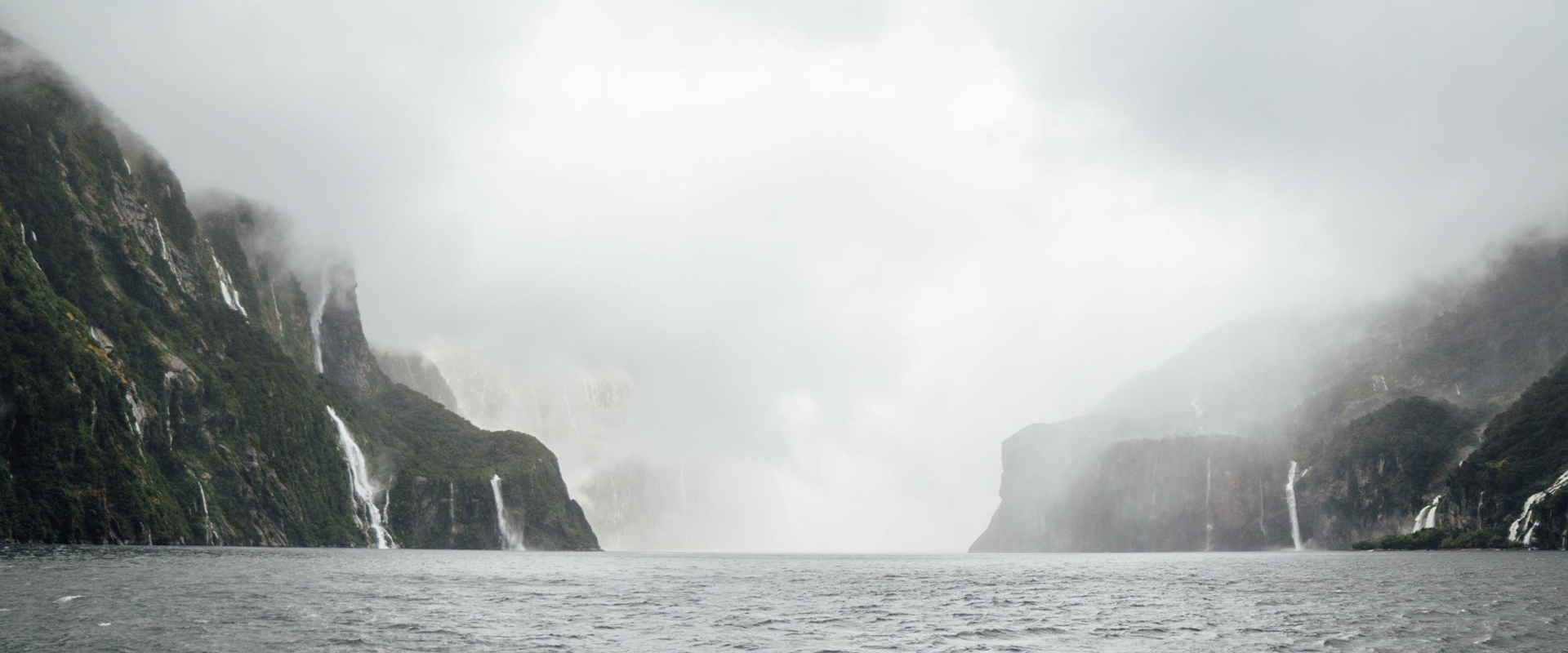 Misty foggy views on a famous wet day at Piopiotahi / Milford Sound